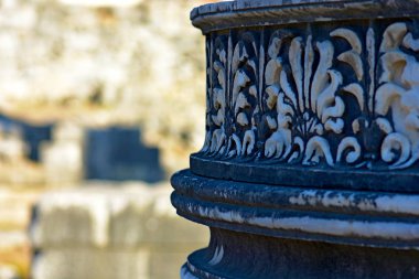 Antik antik tapınak, Apollo bir Didim antik tapınak kalıntıları, müzenin sütunların ayrıntılar