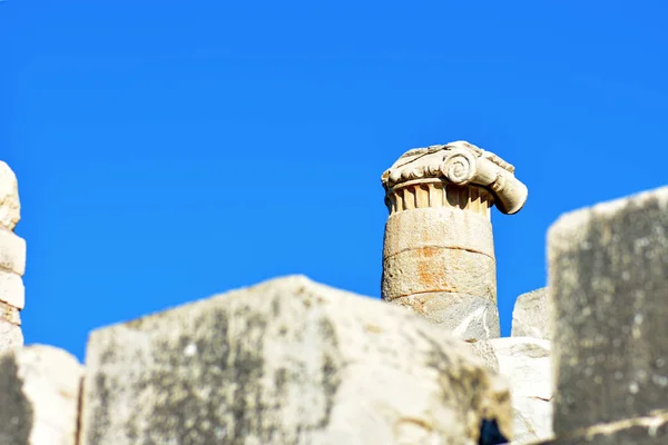 Antik antik tapınak, Apollo bir Didim antik tapınak kalıntıları, müzenin sütunların ayrıntılar