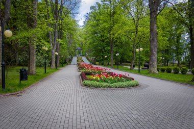 Polanica Zdrj, Polonya'nın Aşağı Silezya eyaletinde bir sağlık tesisi