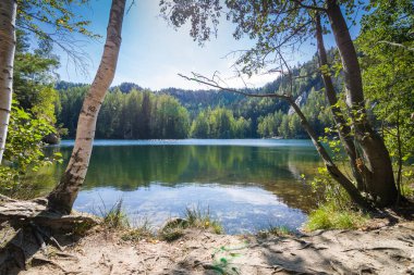 Çek Cumhuriyeti Adrspach Rock Town