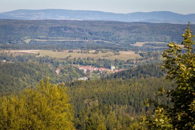 Polonya 'nın Aşağı Silezya bölgesindeki Kamieniec Zbkowicki Sarayı