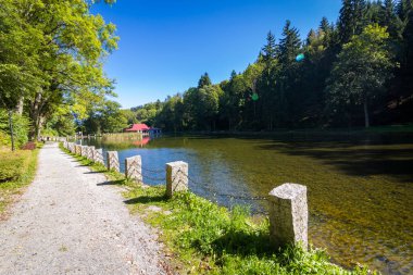Polonya 'nın Aşağı Silezya bölgesindeki Kamieniec Zbkowicki Sarayı