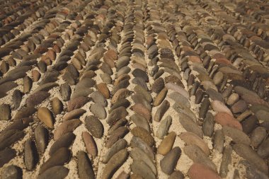 Kahverengi tonlarında yedi metrelik taş taş yolu düzenlendiği