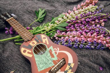 Aculele lupines arasında bir yorgan üzerinde