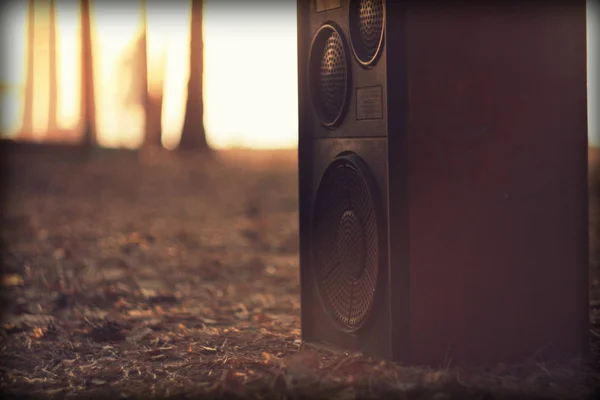 Antiguo Altavoz Musical Bosque Atardecer —  Fotos de Stock