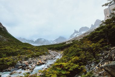 Şili. Torres del Paine. Dramatik manzara. Hızlı dağ nehir kayaların arasında karla kaplı dağlar arka planı geçiyor..