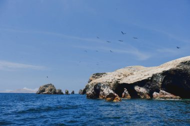 Doğal rezerv Paracas, Peru. Mavi gökyüzü, yeşil deniz, sarı kayalıklarla, çöl ve okyanus