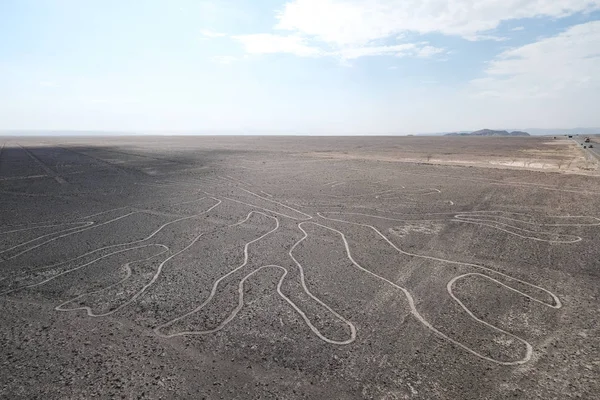 Çölde Alışılmadık Düz Büyük Çizgileri Nasca Hattı — Stok fotoğraf