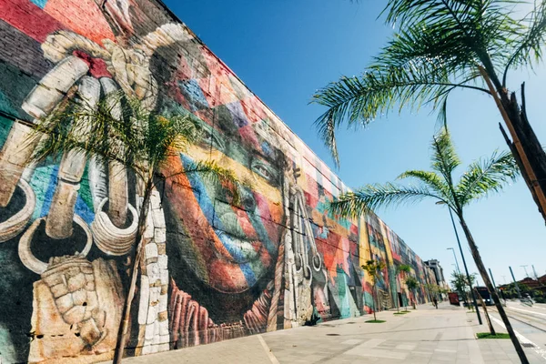 里约热内卢 市中心 在里约热内卢涂鸦 Ethnos 的爱德华眼镜蛇 石墨显示每个大洲的居民 — 图库照片