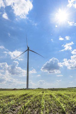 Offshore Rüzgar gülü güneşli gün sahasının