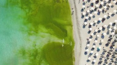 Kıbrıs 'ın güzel tropikal adası 