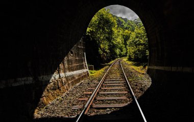 Bir forrest demiryolu tüneli