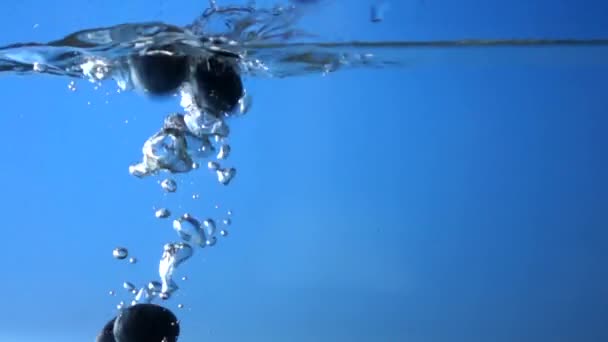 Arándano Cayendo Agua Cámara Lenta — Vídeo de stock