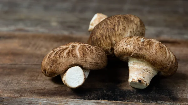 Pilz Aus Nächster Nähe Auf Dem Tisch lizenzfreie Stockbilder