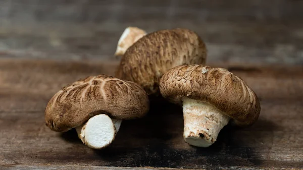 Pilz Aus Nächster Nähe Auf Dem Tisch lizenzfreie Stockfotos