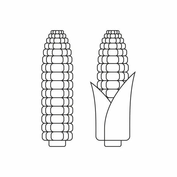 Кукурузные Початки Тонкая Линия Изолированные Белом Фоне — стоковый вектор