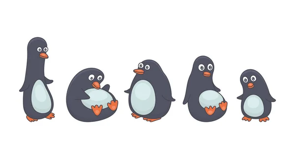Uppsättning Pingviner Isolerad Vit Bakgrund — Stock vektor