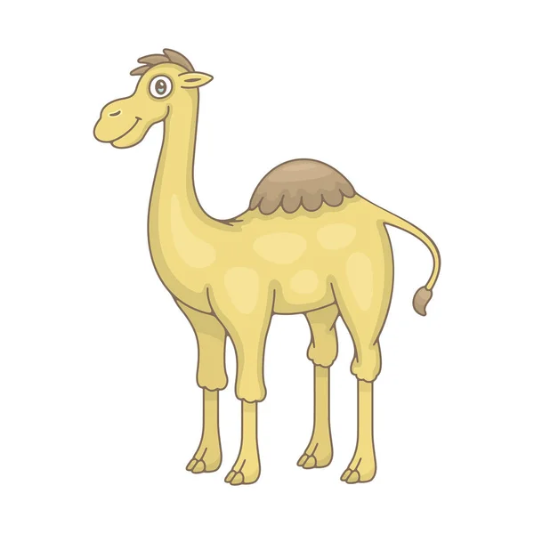Camel Geïsoleerd Witte Achtergrond — Stockvector