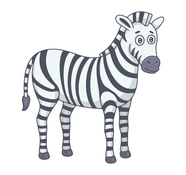 Zebra Isolerad Vit Bakgrund — Stock vektor