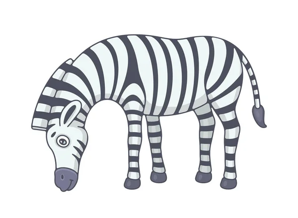 Zebra Elszigetelt Fehér Background — Stock Vector