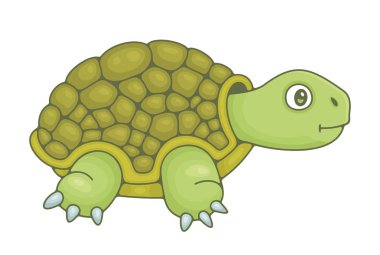 Kaplumbağa. beyaz arka plan üzerinde izole