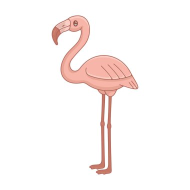 pembe flamingo. Beyaz arka plan üzerinde izole