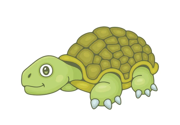 Turtle Geïsoleerd Witte Achtergrond — Stockvector