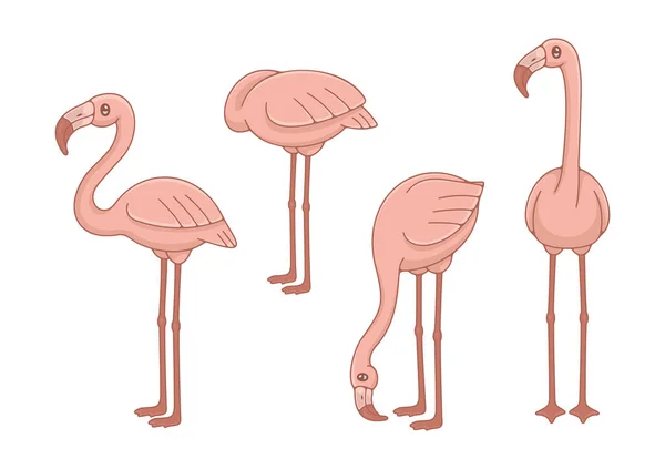 Sada Růžových Flamingos Izolované Bílém Pozadí — Stockový vektor