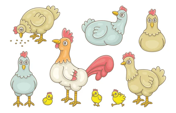 Hähne Und Hühner Isoliert Auf Weißem Hintergrund — Stockvektor