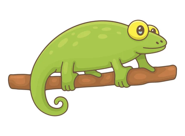 Chameleon Izolované Bílém Pozadí — Stockový vektor