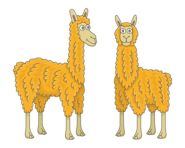 Ensemble Lamas Isolé Sur Fond Blanc — Image vectorielle