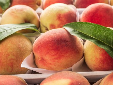 Kutuda bir sürü şeftali var..