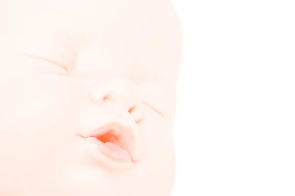 Infant Toy Doll Head Sleeping Isolated — Stock Photo, Image