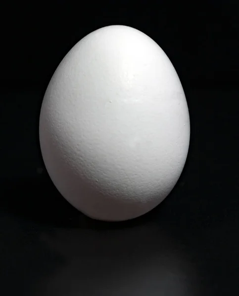 Стоящее Белое Яйцо Черном Фоне — стоковое фото