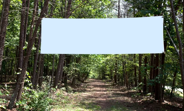 Blank banner with copy space stretched across forest path. Horizontal.