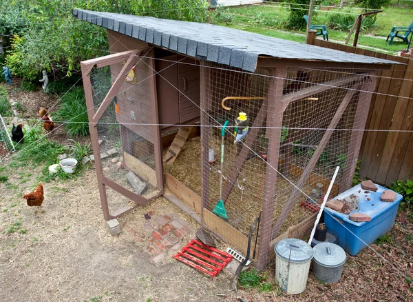 Urban Backyard Chicken Coop Horizontal — Stock Photo, Image