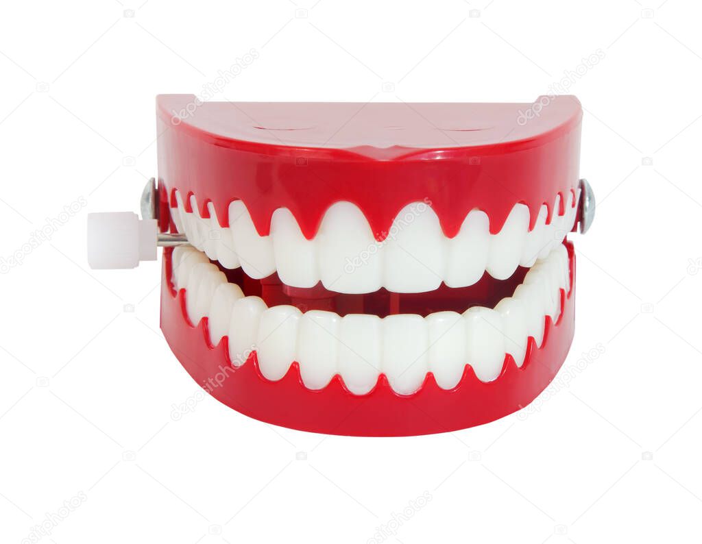 Front and top view of grinning novelty chattering teeth.