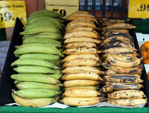 Plantains Marché Extérieur Horizontal — Photo