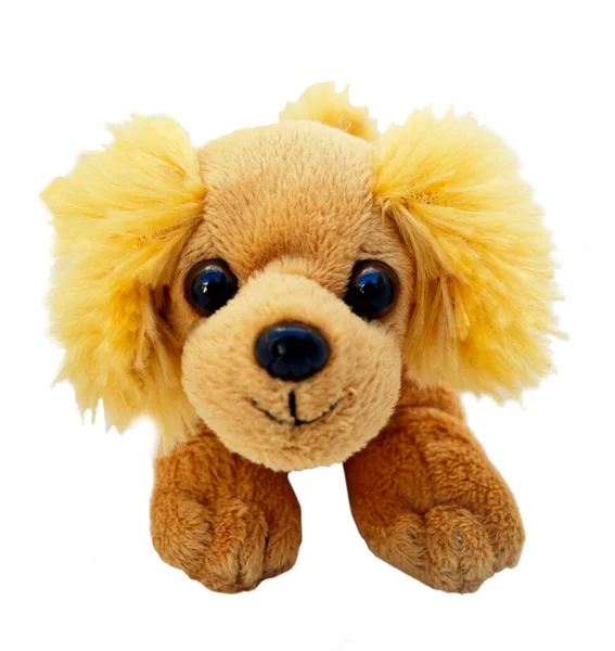 Silly Looking Smiling Furry Toy Dog Isolated — Stock Photo, Image