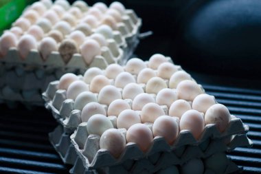 ördek yumurta taşıyıcı yumurta