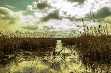 Bulutsuz bir gökyüzü göl kenarında