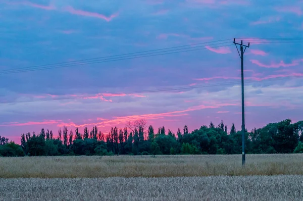Batan güneşin Lubartow yakınındaki alan
