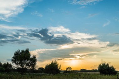 Ağaçların üzerinde mavi gökyüzü