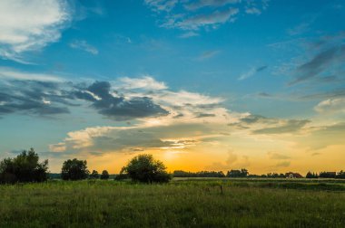 Ağaçların üzerinde mavi gökyüzü