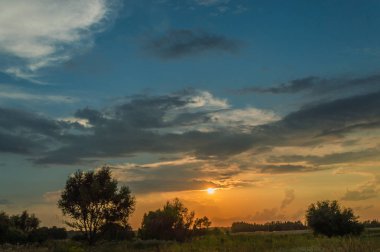 Ağaçların üzerinde mavi gökyüzü