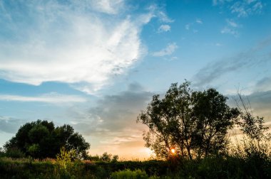 Ağaçların arkasında akşam güneşi