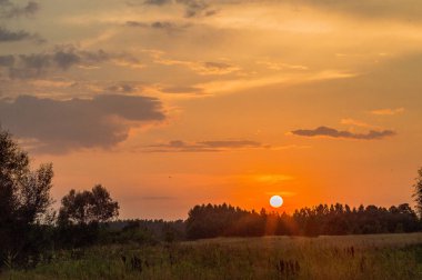 Ağaçların üzerinde güneş