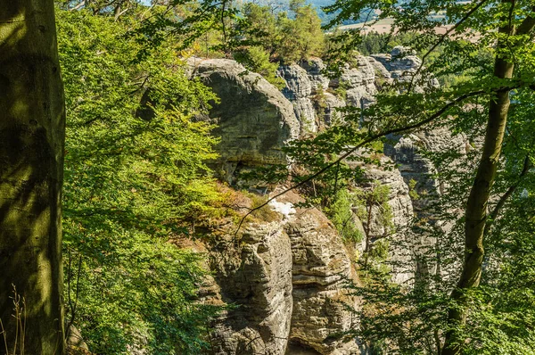 Felsen Wald — Stockfoto