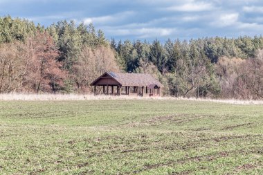 Ağaçlar arasında bir çardak