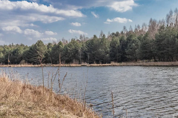 Lagoa Palecznica Primavera Imagens De Bancos De Imagens Sem Royalties